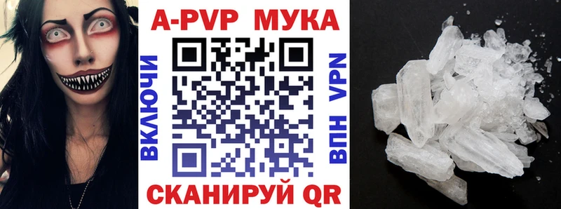 A PVP СК  Беломорск 