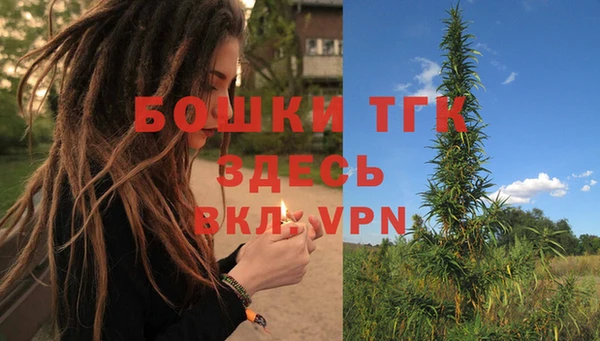 2c-b Бородино