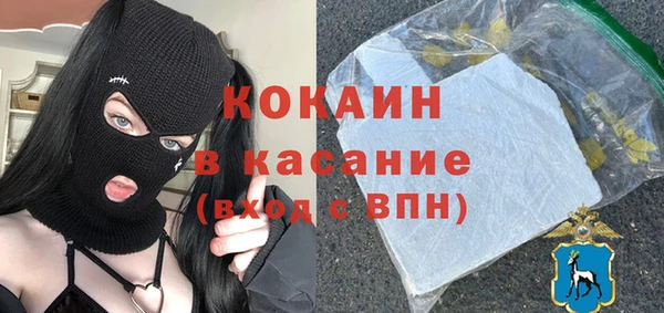 твердый Богородицк