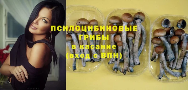 твердый Богородицк