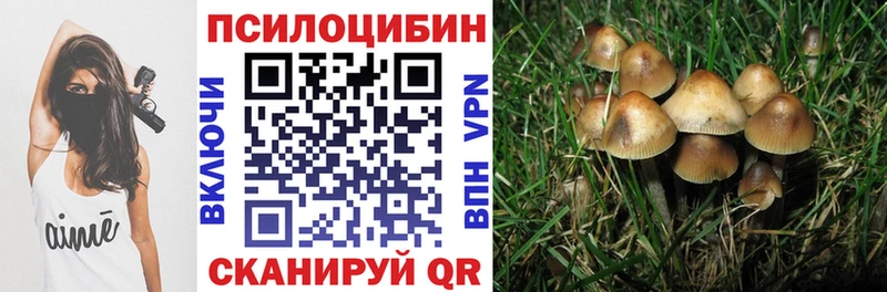 Псилоцибиновые грибы MAGIC MUSHROOMS  Беломорск 