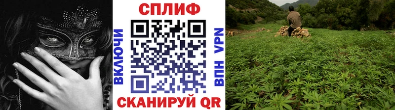наркотики  Беломорск  Каннабис индика 